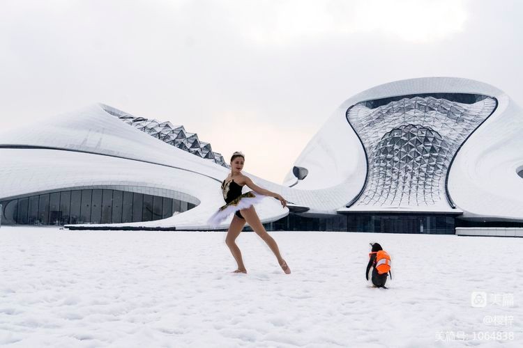 Harbin Grand Theater