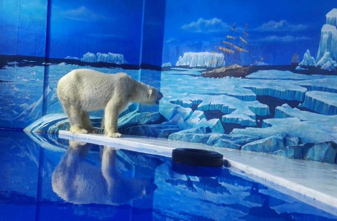 Harbin Polarland