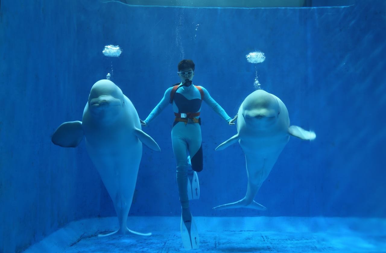 Harbin Polarland Park
